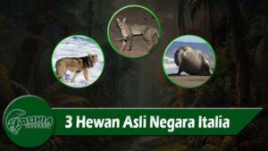 3 Hewan Asli Negara Italia