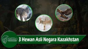 3 Hewan Asli Negara Kazakhstan