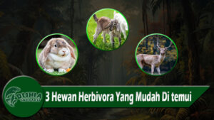 3 Hewan Herbivora Yang Mudah Di temui