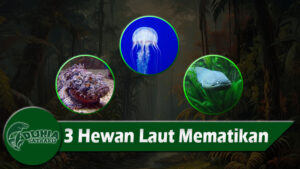 3 Hewan Laut Mematikan