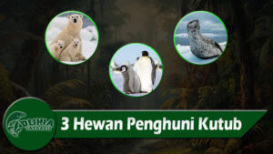 3 Hewan Penghuni Kutub