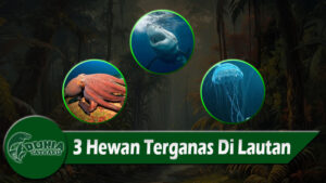 3 Hewan Terganas Di Lautan