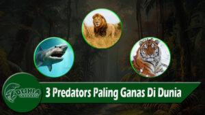 3 Predators Paling Ganas Di Dunia