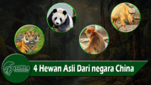 4 Hewan Asli Dari negara China