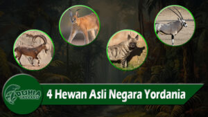 4 Hewan Asli Negara Yordania