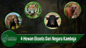 4 Hewan Eksotis Dari Negara Kamboja