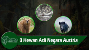 3 Hewan Asli Negara Austria