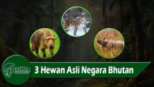 3 Hewan Asli Negara Bhutan