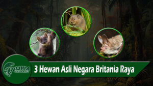 3 Hewan Asli Negara Britania Raya