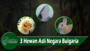 3 Hewan Asli Negara Bulgaria