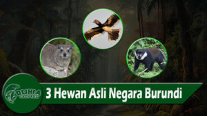 3 Hewan Asli Negara Burundi