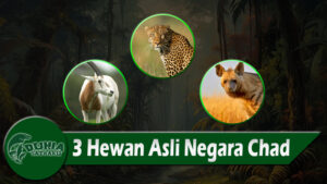 3 Hewan Asli Negara Chad