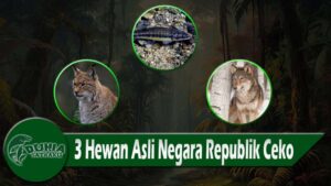 3 Hewan Asli Negara Republik Ceko