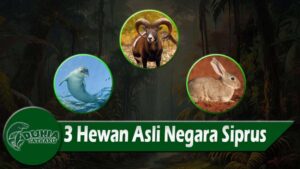 3 Hewan Asli Negara Siprus