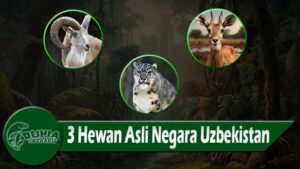 3 Hewan Asli Negara Uzbekistan