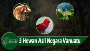 3 Hewan Asli Negara Vanuatu