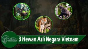 3 Hewan Asli Negara Vietnam