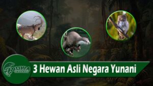 3 Hewan Asli Negara Yunani