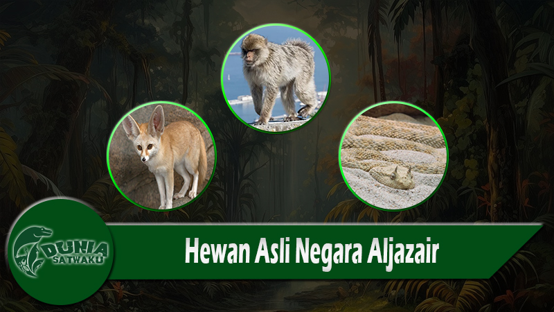 Hewan Asli Negara Aljazair