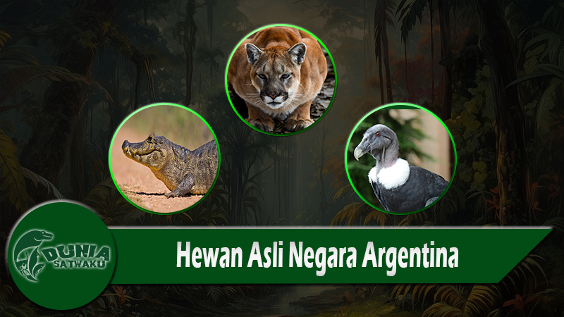 Hewan Asli Negara Argentina