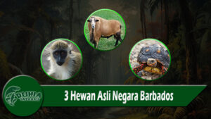 3 Hewan Asli Negara Barbados