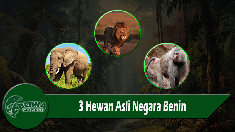 3 Hewan Asli Negara Benin