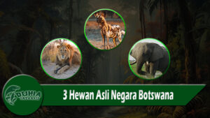 3 Hewan Asli Negara Botswana