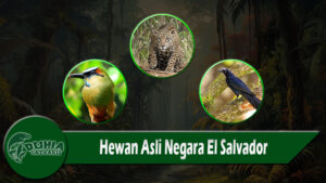 Hewan Asli Negara El Salvador