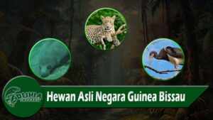 Hewan Asli Negara Guinea Bissau