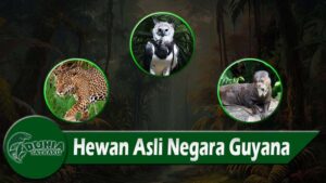 Hewan Asli Negara Guyana