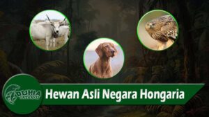 Hewan Asli Negara Hongaria