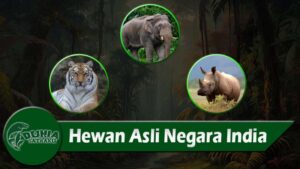 Hewan Asli Negara India