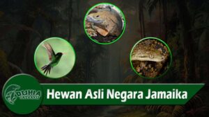 Hewan Asli Negara Jamaika