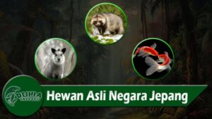 Hewan Asli Negara Jepang