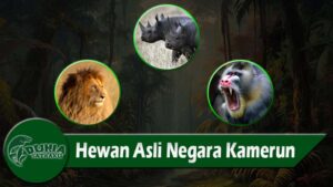 Hewan Asli Negara Kamerun