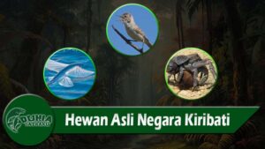 Hewan Asli Negara Kiribati