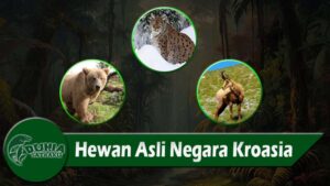 Hewan Asli Negara Kroasia