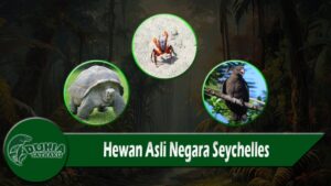 Hewan Asli Negara Seychelles