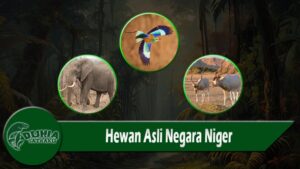 Hewan Asli Negara Niger