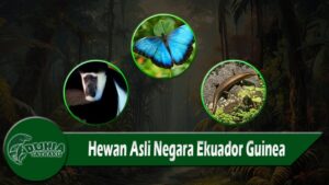 Hewan Asli Negara Ekuador Guinea