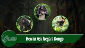 Hewan Asli Negara Kongo