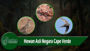 Hewan Asli Negara Cape Verde