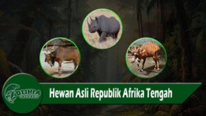 Hewan Asli Republik Afrika Tengah