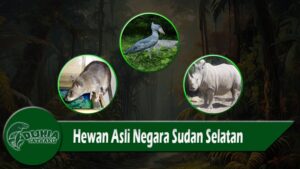 Hewan Asli Negara Sudan Selatan