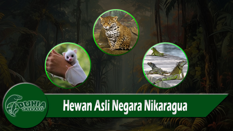 Hewan Asli Negara Nikaragua