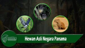 Hewan Asli Negara Panama