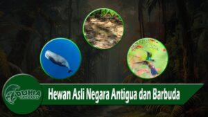 Hewan Asli Negara Antigua dan Barbuda