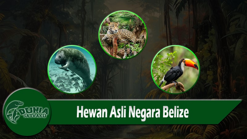 Hewan Asli Negara Belize