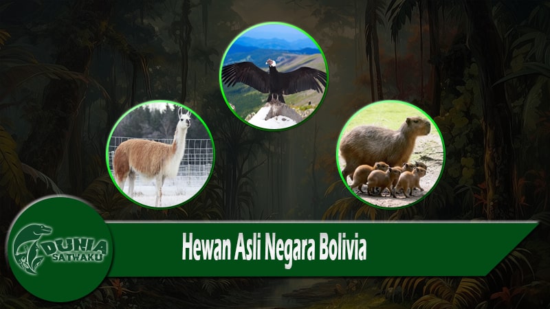 Hewan Asli Negara Bolivia